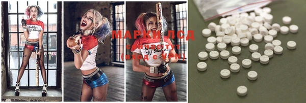 ECSTASY Гусь-Хрустальный