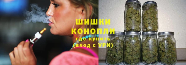 ECSTASY Гусь-Хрустальный