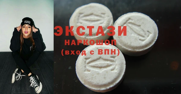 ECSTASY Гусь-Хрустальный