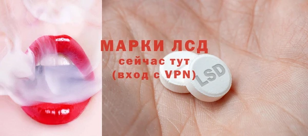 ECSTASY Гусь-Хрустальный
