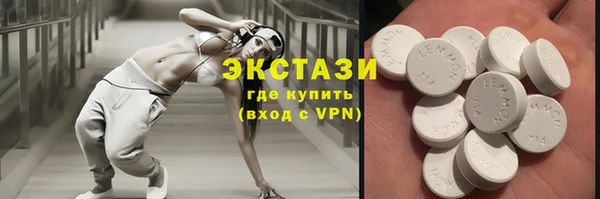 ECSTASY Гусь-Хрустальный