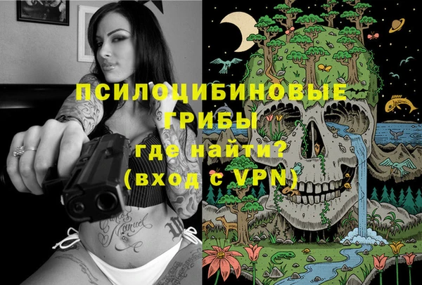 метамфетамин Гусев