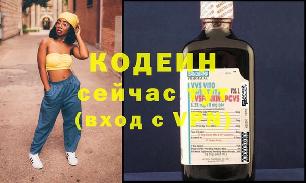 ECSTASY Гусь-Хрустальный