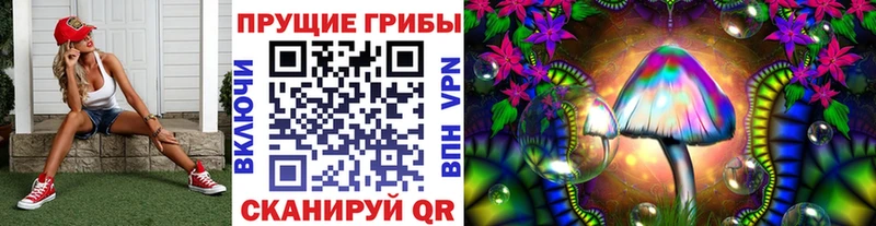 Псилоцибиновые грибы прущие грибы  мориарти телеграм  Циолковский 